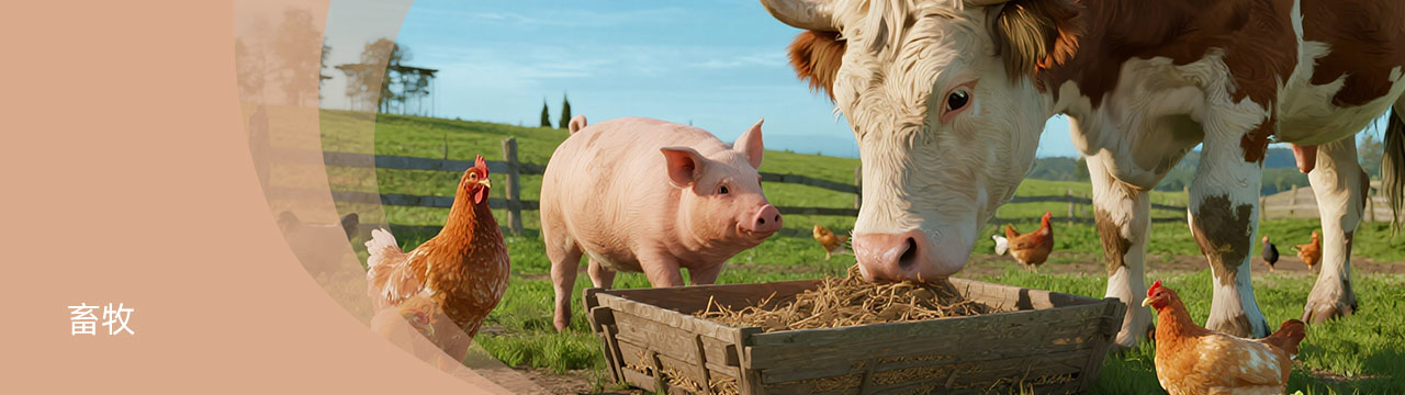 畜牧title